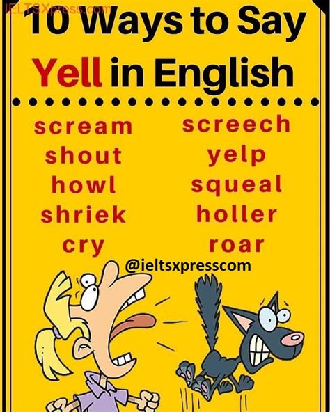 yell synonym|yell meaning.